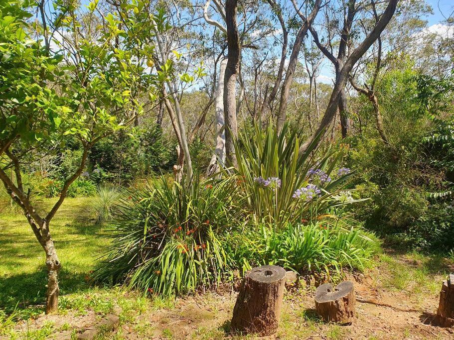 Rustic Queen Of Leura Villa Exterior photo